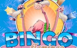 Flamingo Bingo - Free Online Bingo Game