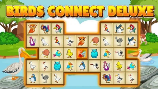 Birds Connect Deluxe Puzzle