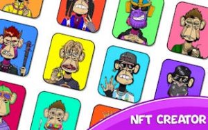 Primate Designer & Collection Hub