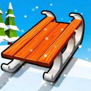 Winter Sled Dash 3D