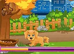 Paws & Pieces: A Canine Conundrum