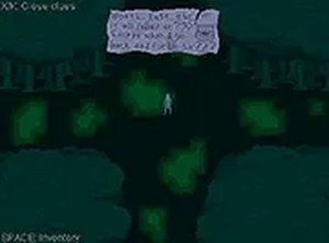 Forest Puzzle Pathways