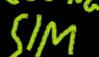 Coding Simulator Online Game